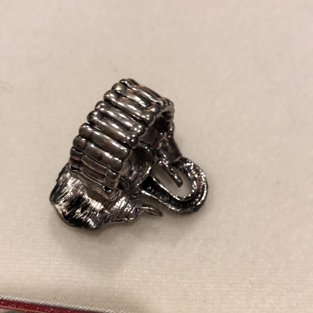 Elephant Ring - Picture 8 of 8